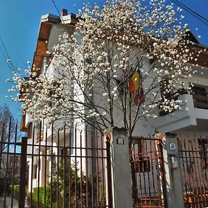 Гостевой дом La Noblesse, Бухарест